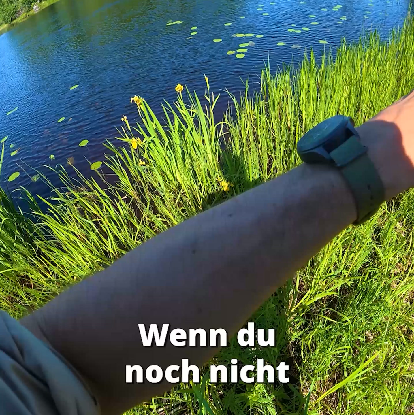 Komplettes Zielfisch-Setup