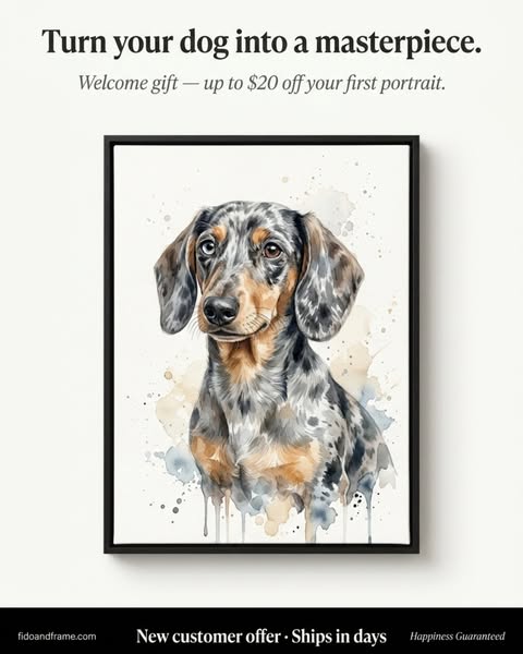 Welcome to Fido & Frame — $20 OFF