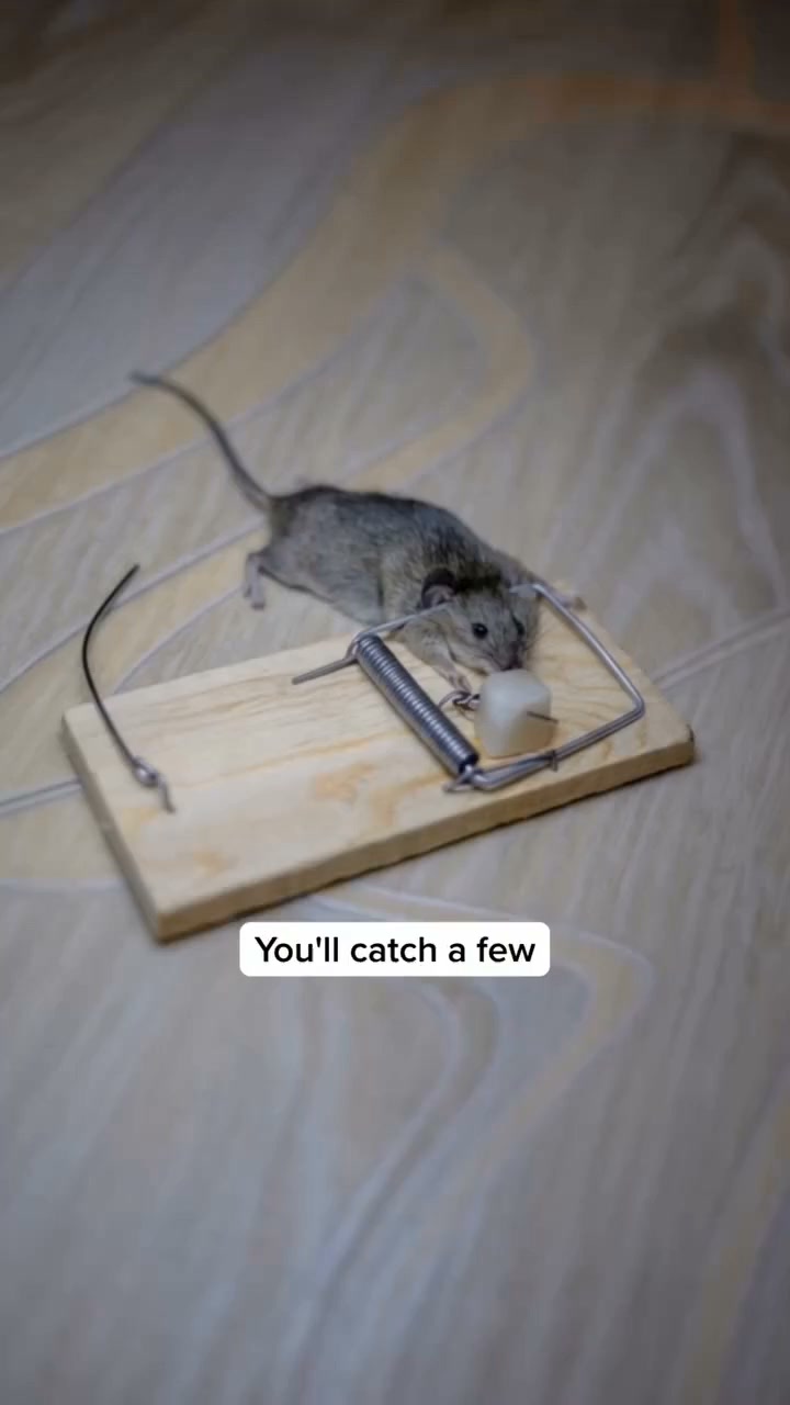 Every mouse solution failed. Except this..