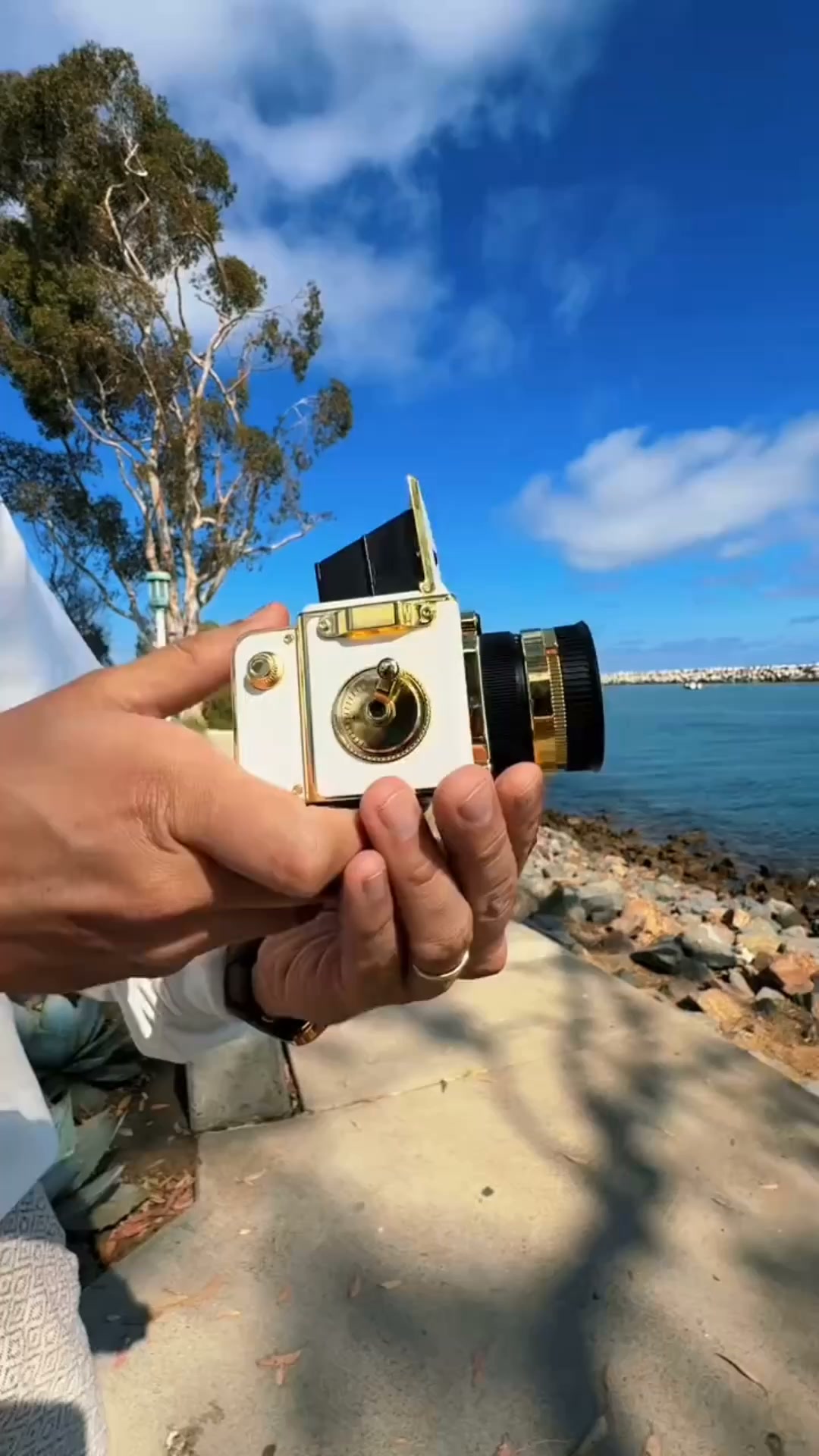 Film like photos, Classic Design