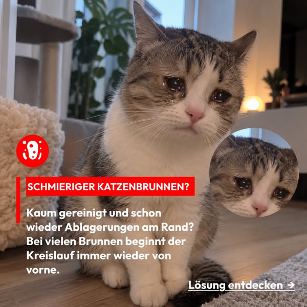 Willst du deine Katze wirklich daraus trinken lassen?
