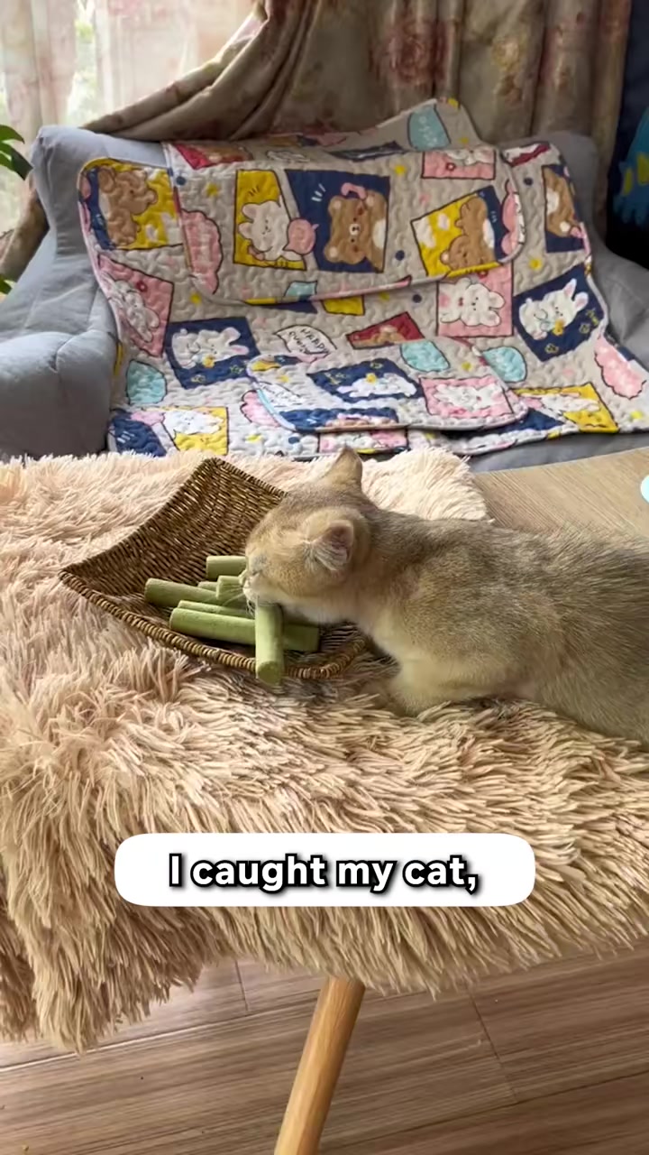 One Treat. Endless Cat Health Benefits.