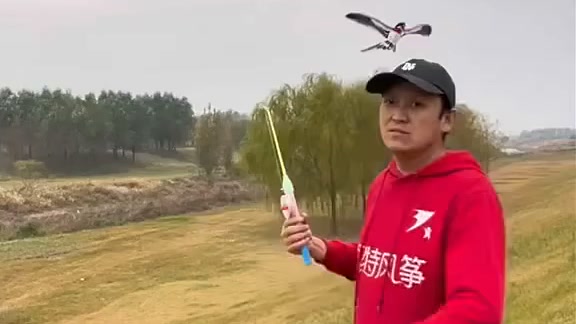 Unleash Fun in the Sky