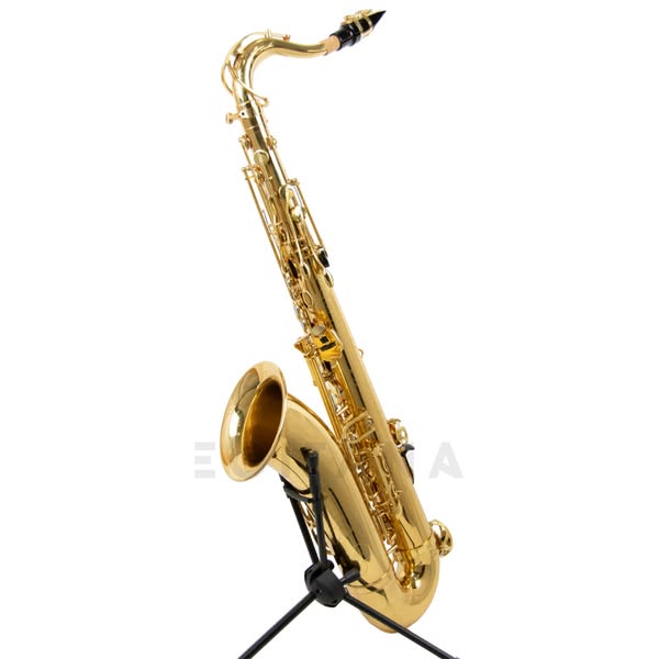Wisemann DTS-350