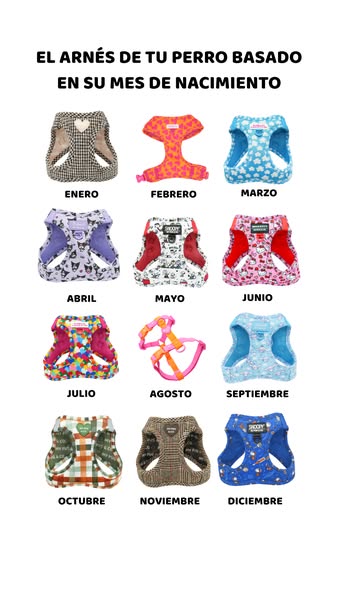 Varios modelos disponibles
