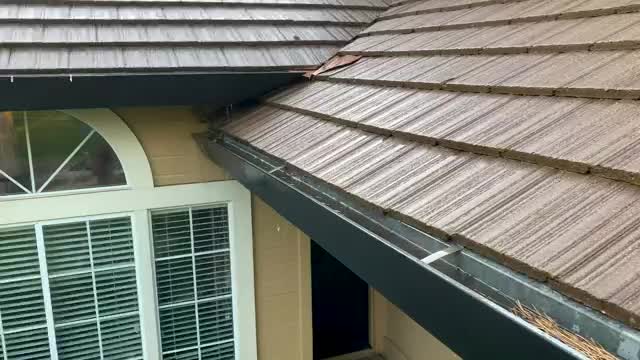 Roof Gutter Anti-Clog Drainage Protector