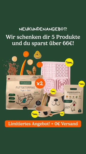 Dein Hund hat Magenprobleme?