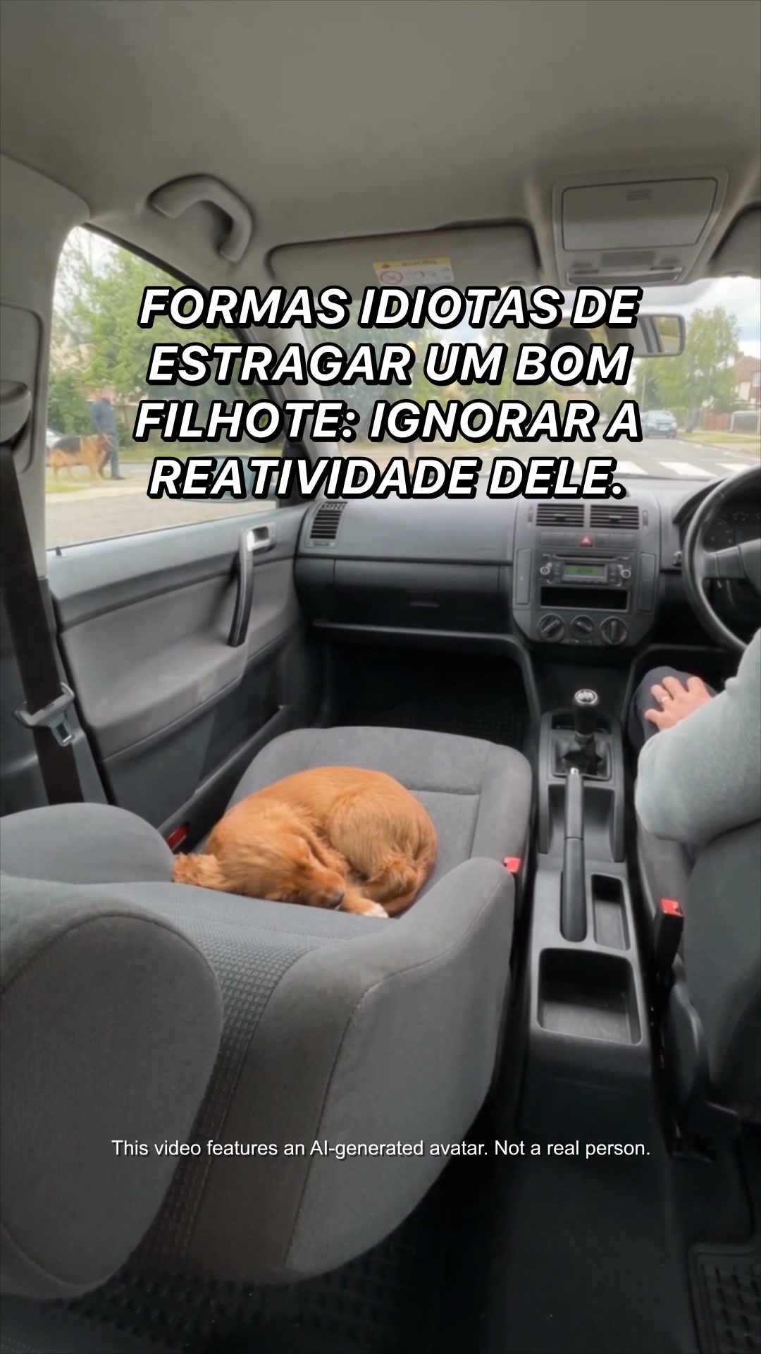 O plano nº1 para você e seu cão
