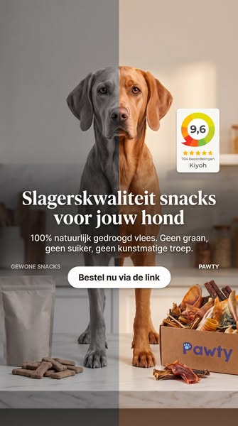 Meer dan 100 gezonde hondensnacks!