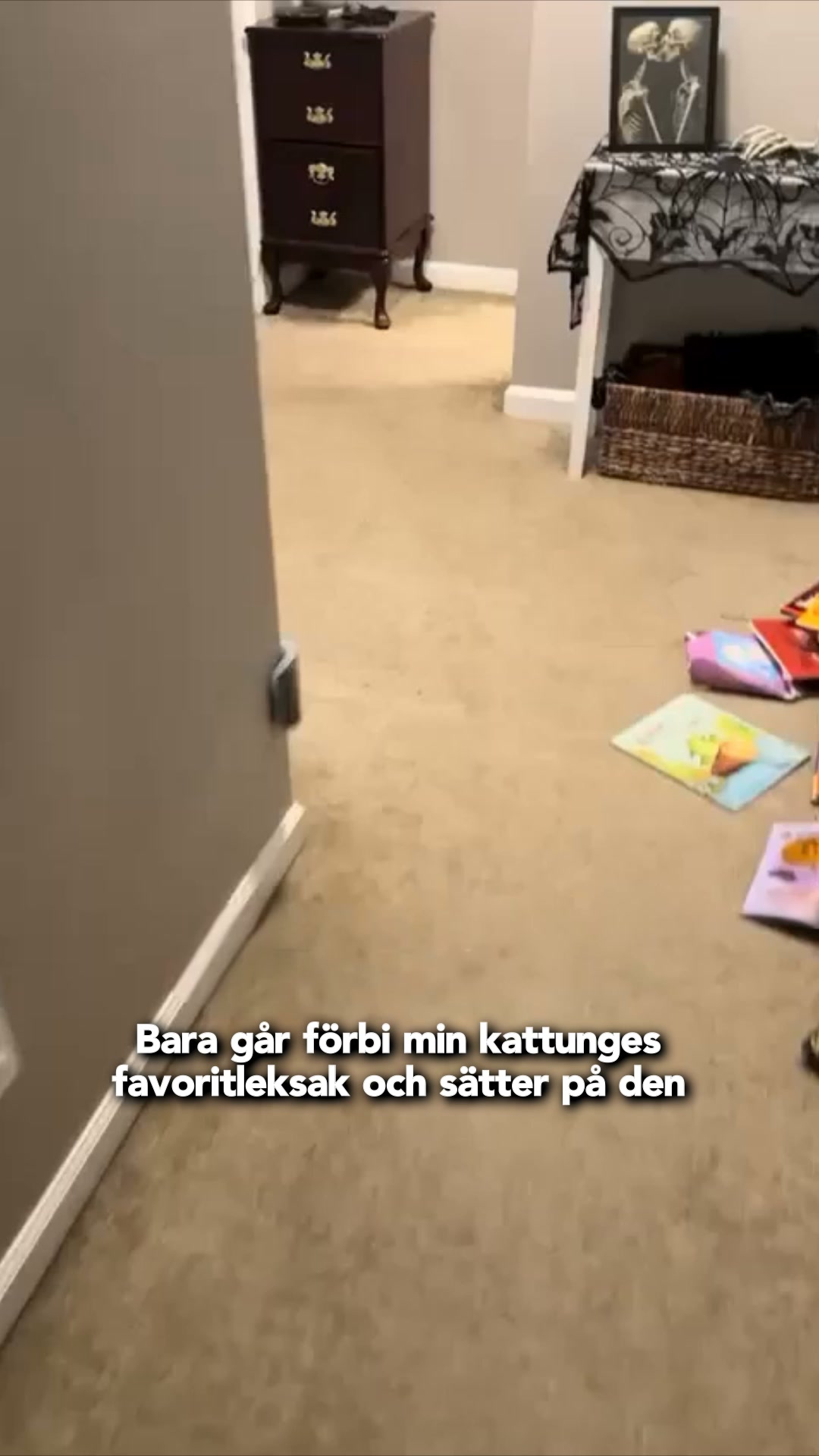 #1 Interaktiv Kattleksak