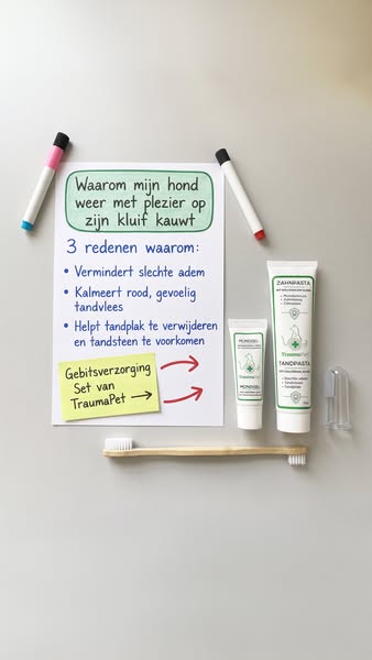 Alleen het beste voor je viervoeter