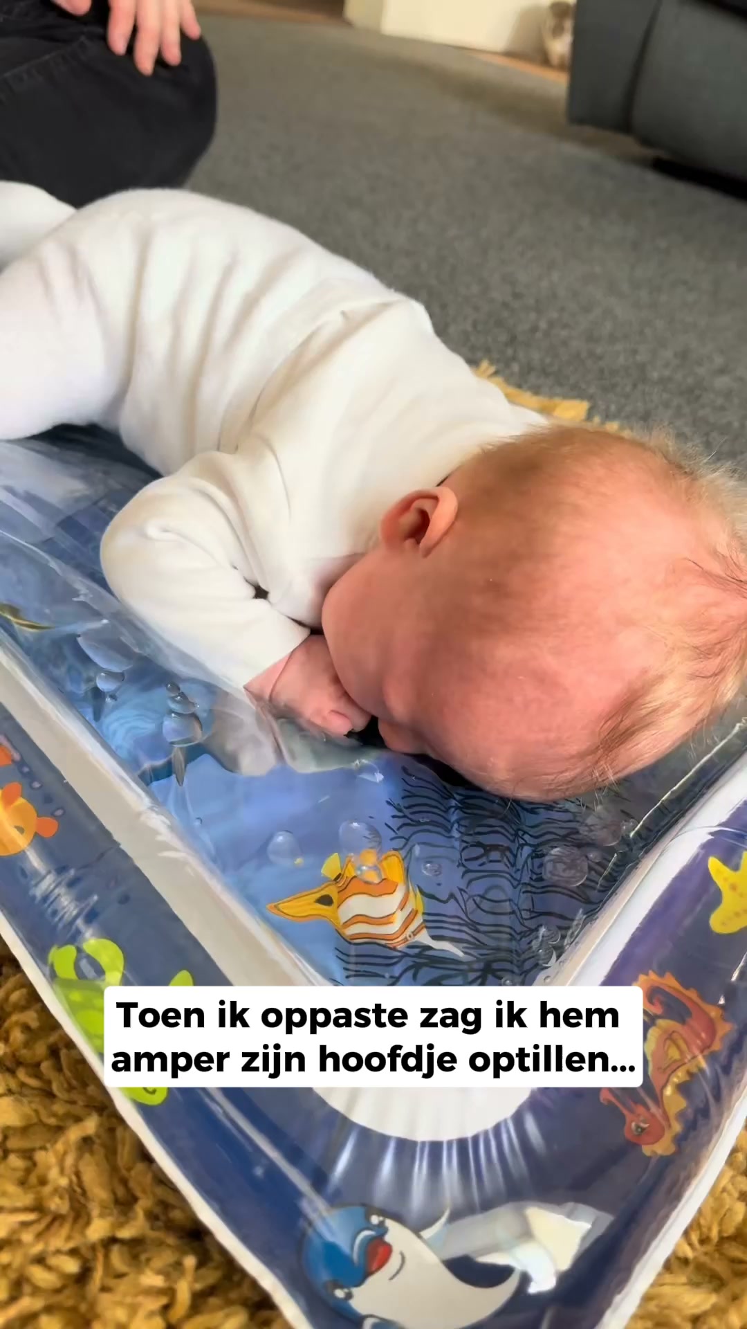 40% korting + Verzekerde Verzending