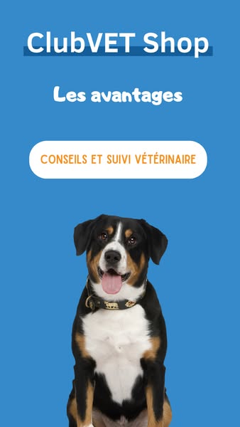 Conseil et suivi professionnel