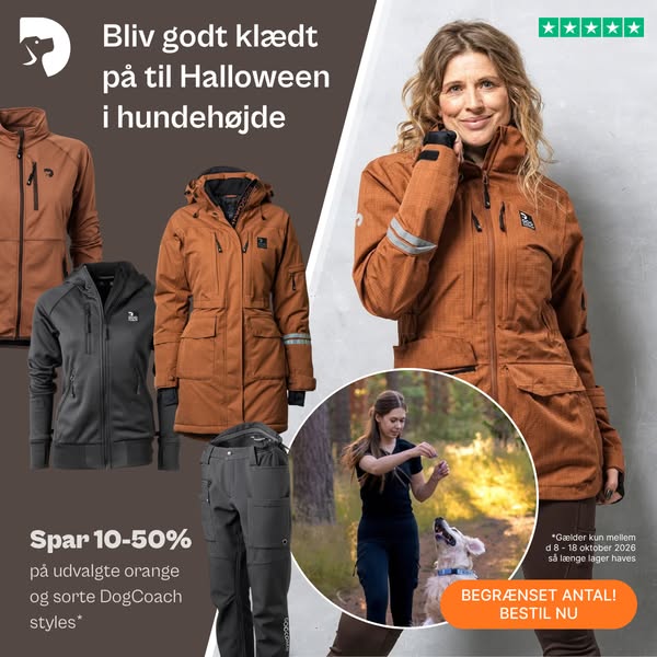 Spar 10–50 % på udvalgte DogCoach-favoritter
