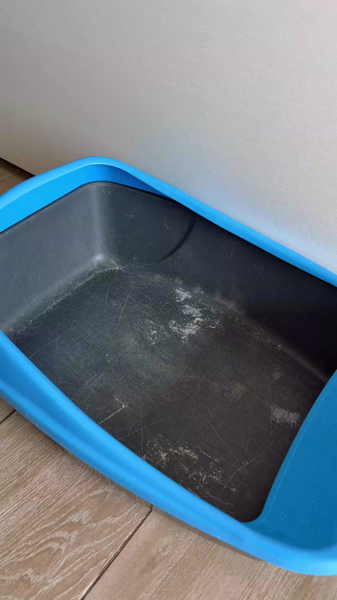 La Lettiera in Acciaio Inox Che Ti Cambierà la Vita