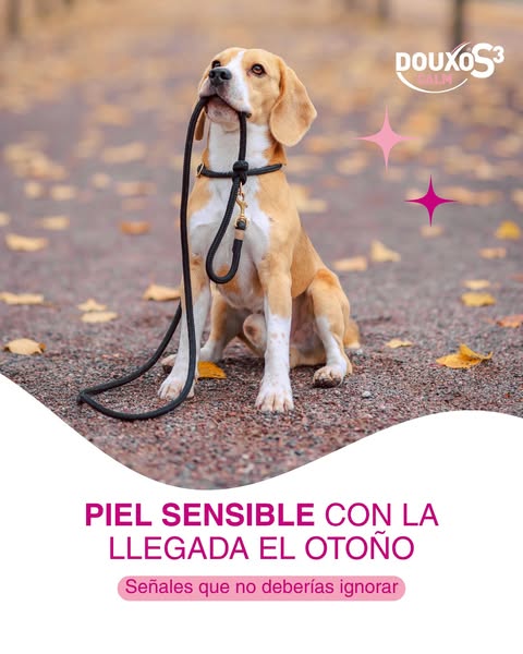 DOUXO S3 CALM - Para pieles sensibles, con picor e irritadas - Perros & Gatos