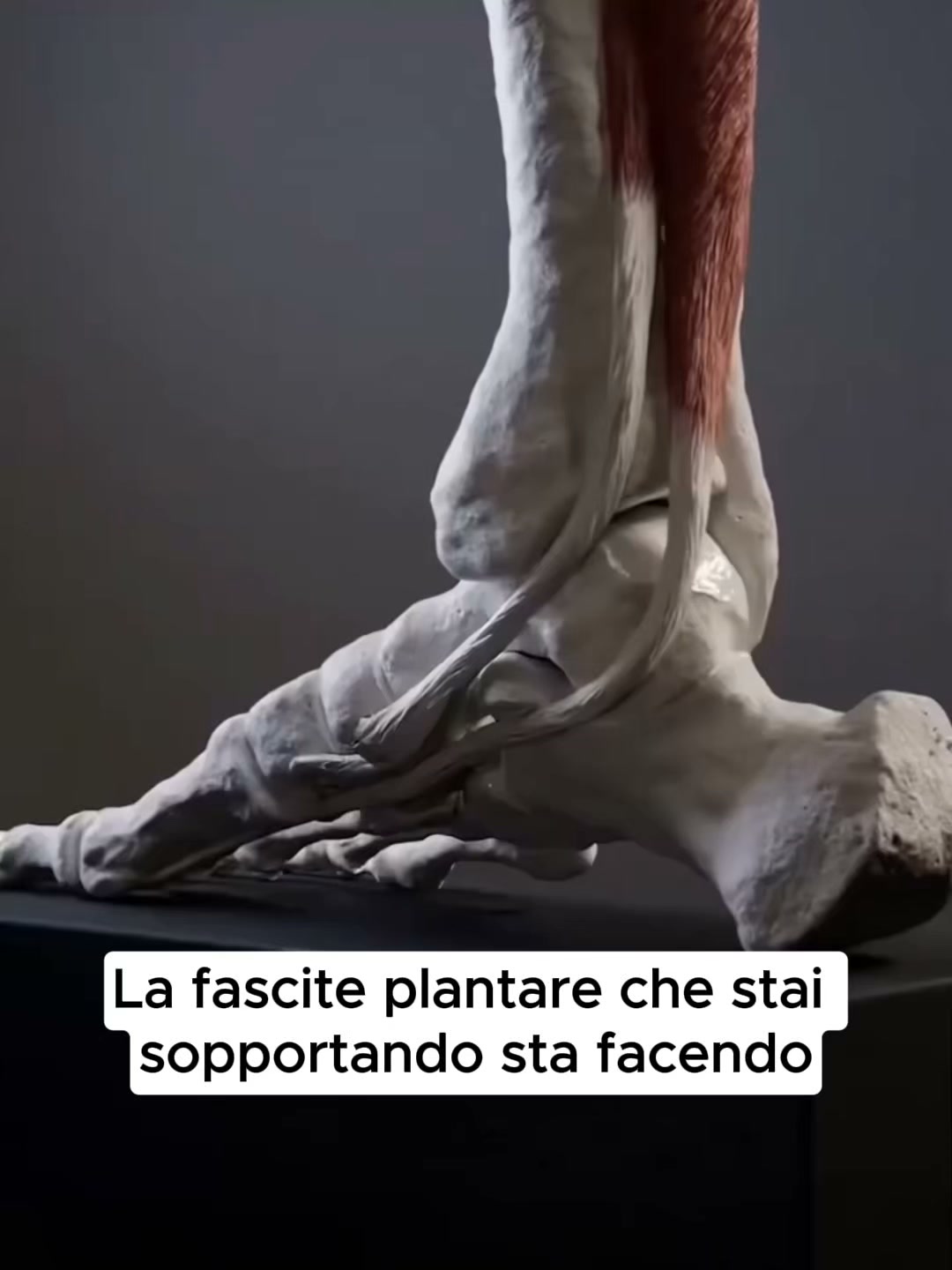 Sollievo dal dolore o rimborso garantito