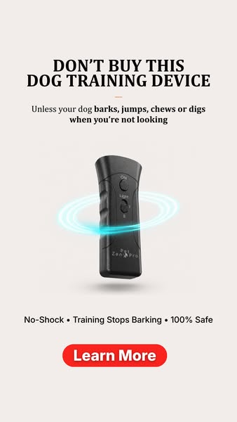A gentle and effective approach to barking