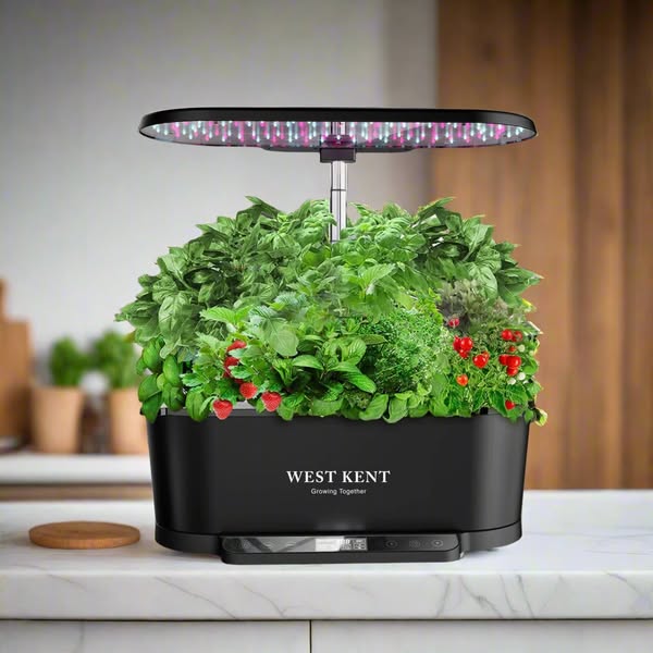 West Kent 15-Pod Indoor Smart Garden Hydrophonic Growing System
