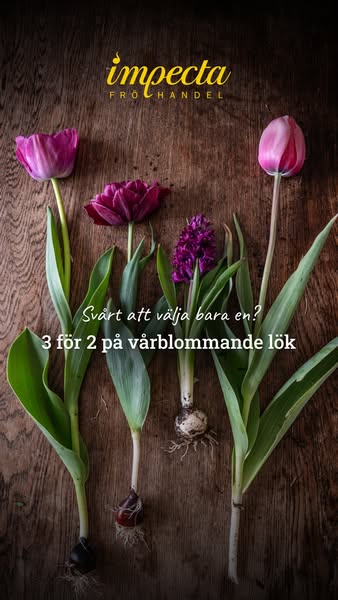 Välj tre sorter – betala för två