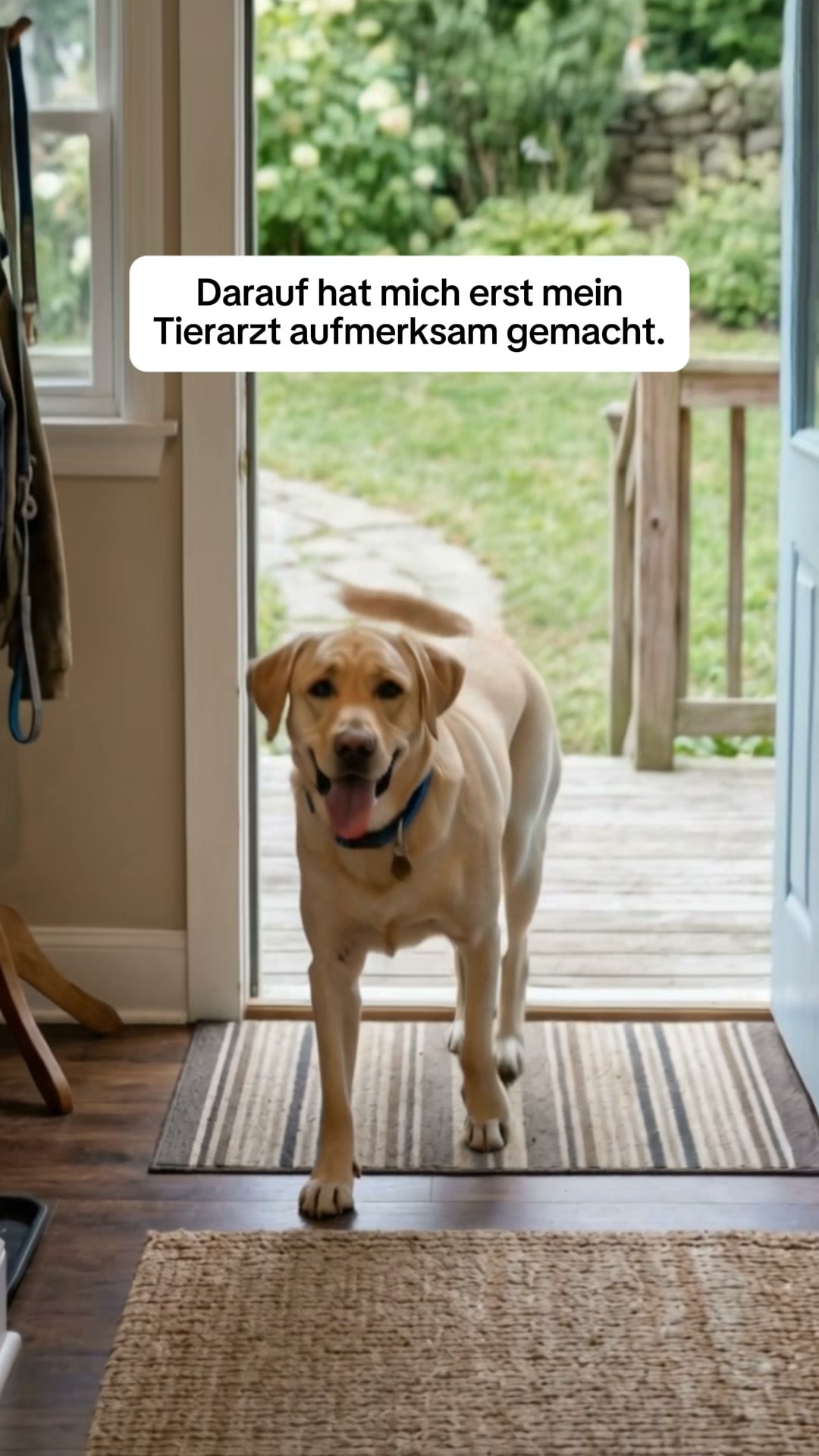 Nach 30 Tagen kratzt dein Hund weniger. Natürlich. Ohne Chemie.