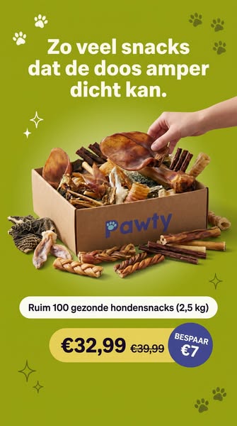 Meer dan 100 gezonde hondensnacks!