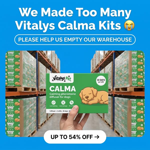 Don't Plug In a Smell and Call It Calm