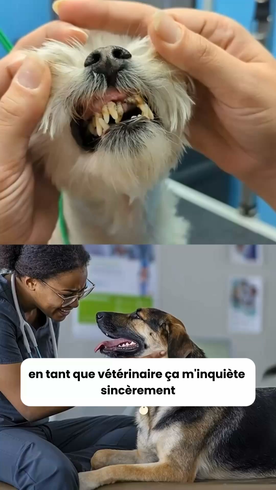 2 ACHETÉS = 1 OFFERT — Durée limitée