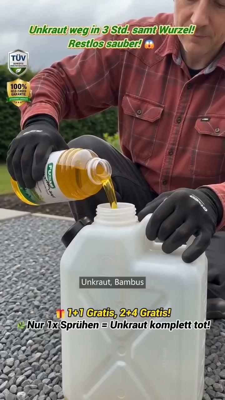 1 kaufen, 1 gratis dazu