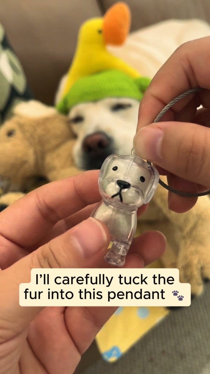 #1 Pet Memory