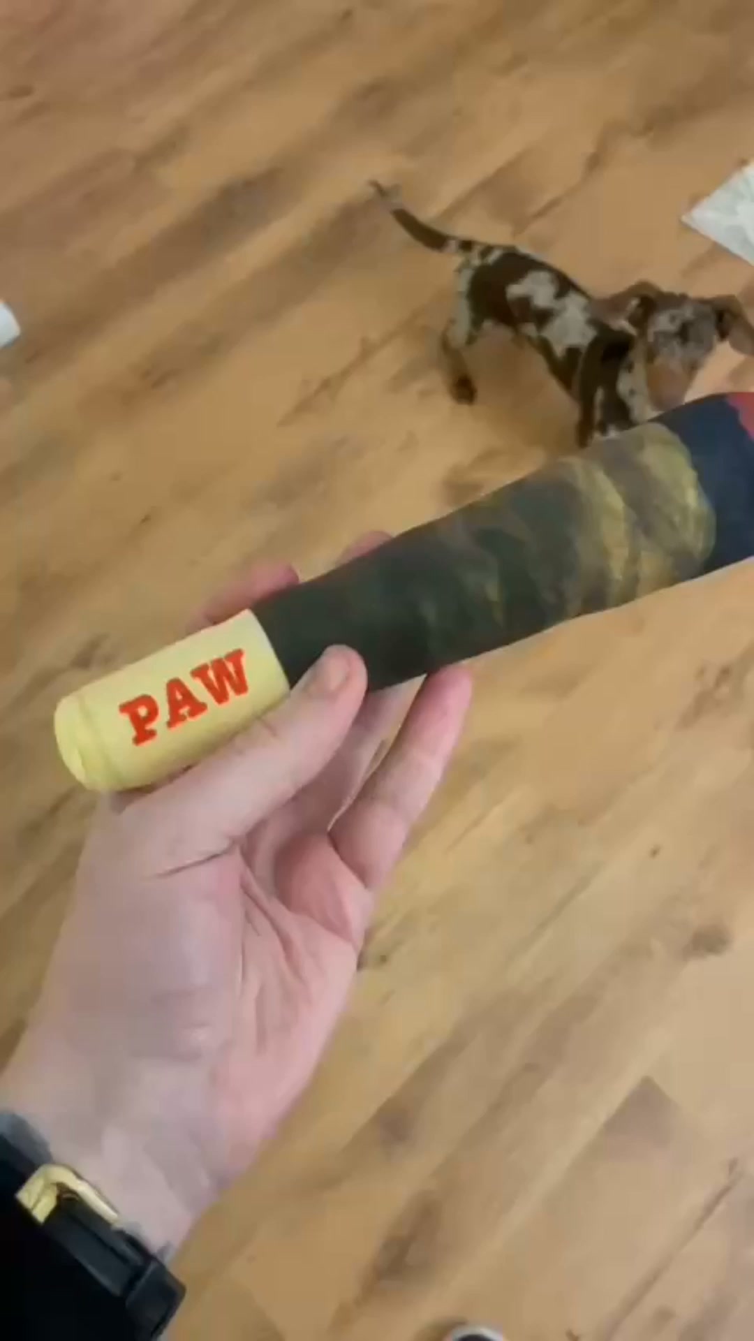 Pawgars™ | Cigar Chew Toy