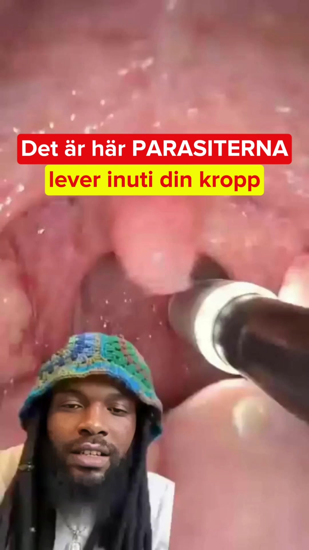 Prova riskfritt