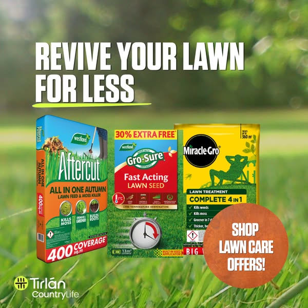 Lawn Care Deals
