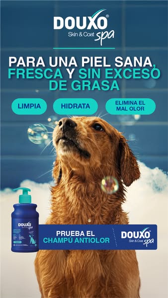Ahora nuevo: DOUXO SPA