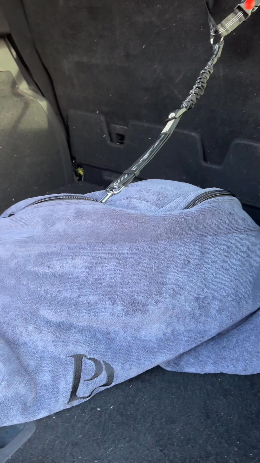 The Must-Have for Muddy Dog Owners