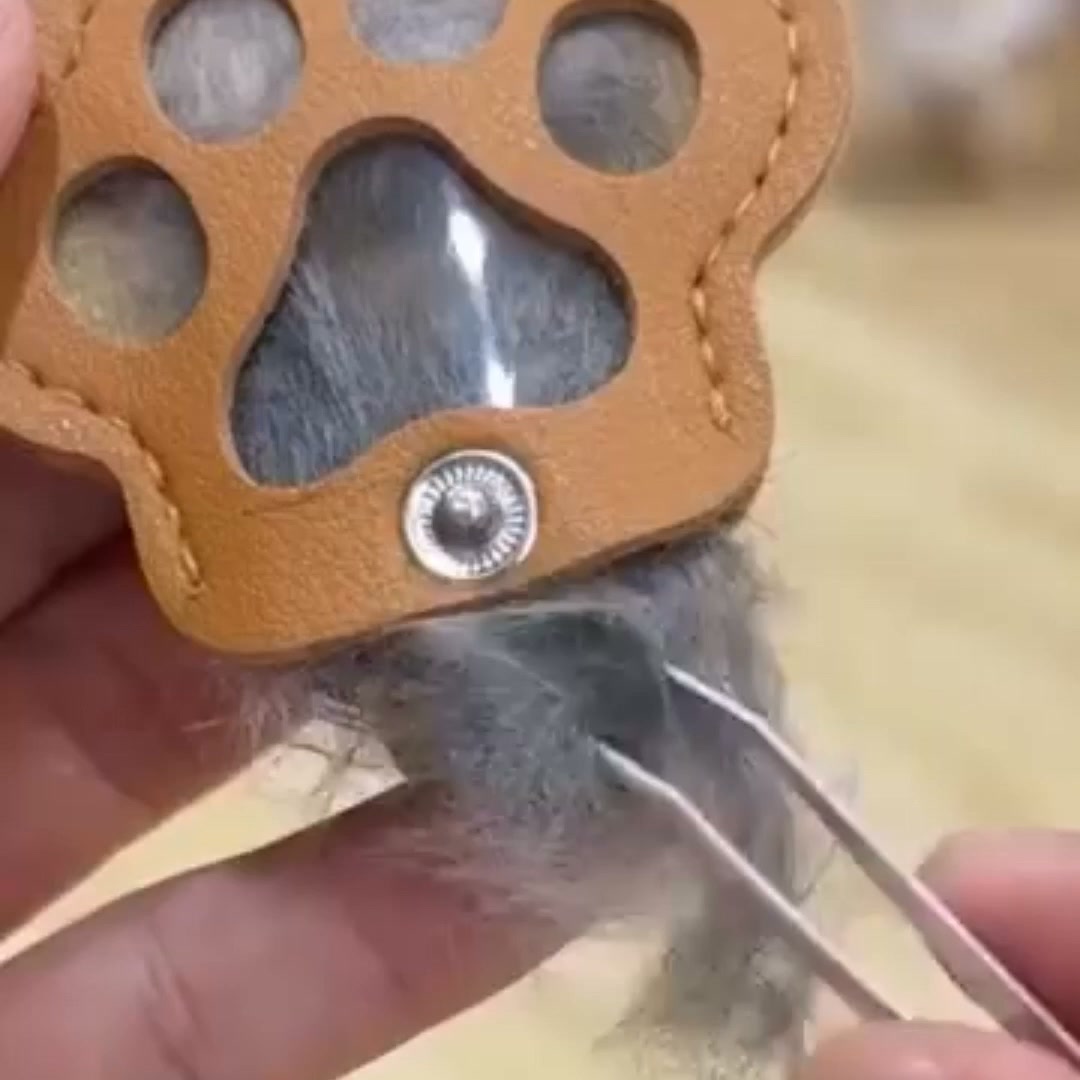 Pet memorial keychain