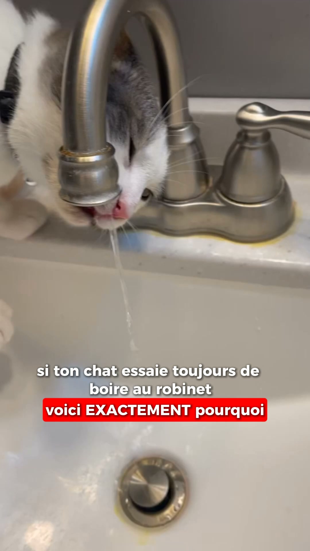 Prévenez ses soucis rénaux en 30 jours