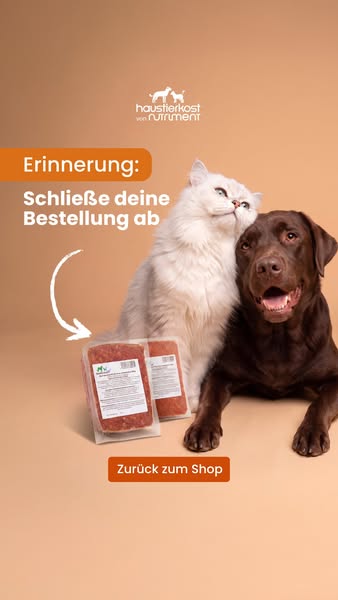 Schon das Richtige gefunden?