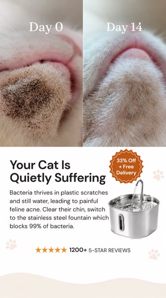 You don't have to just accept those black spots on your cat's chin.