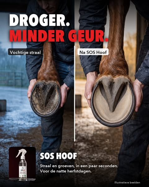 Droger. Minder geur.