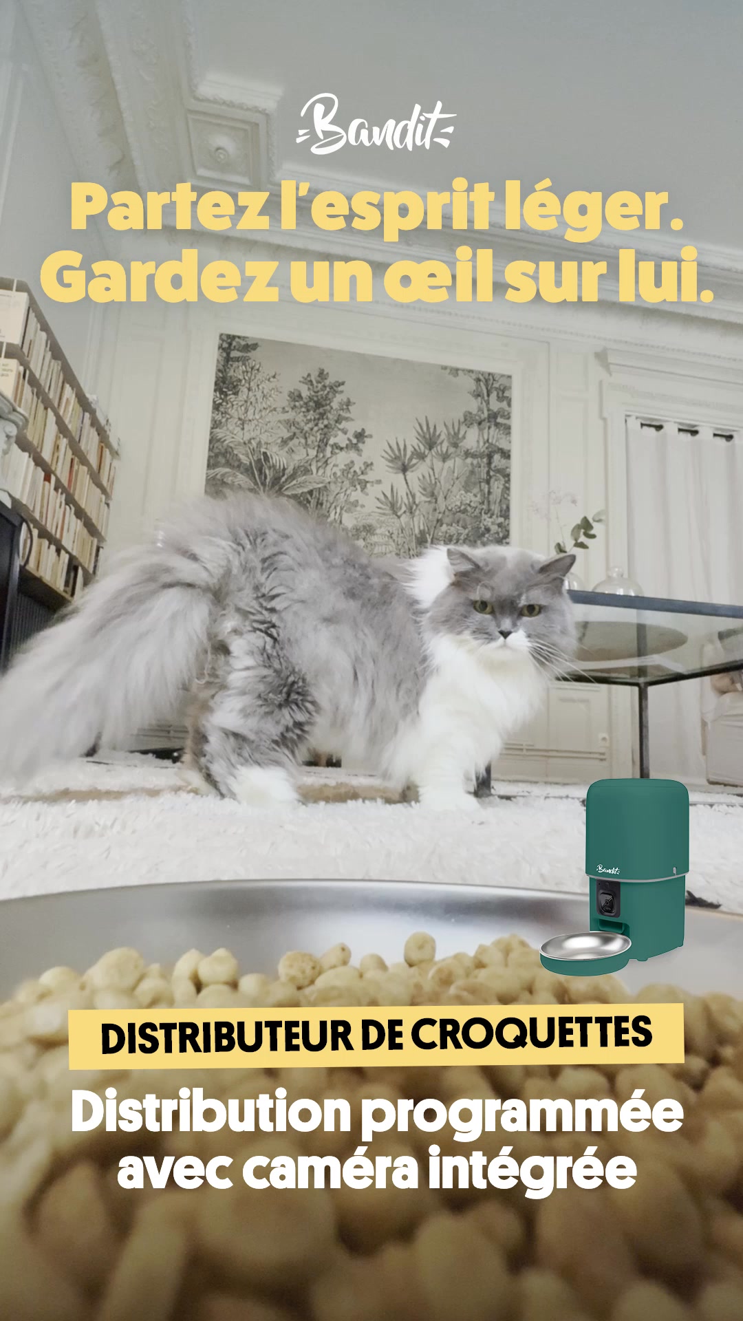 Distributeur de croquettes connecté pour chats