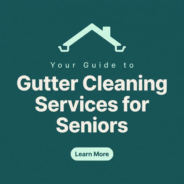 Gutter Cleaning Services for Seniors – Learn More