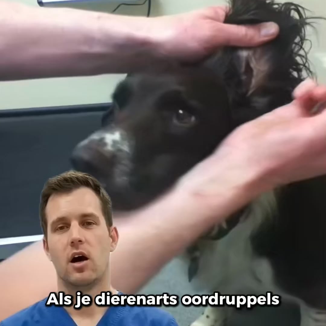 Dagelijkse ondersteuning tegen jeuk zonder gedoe