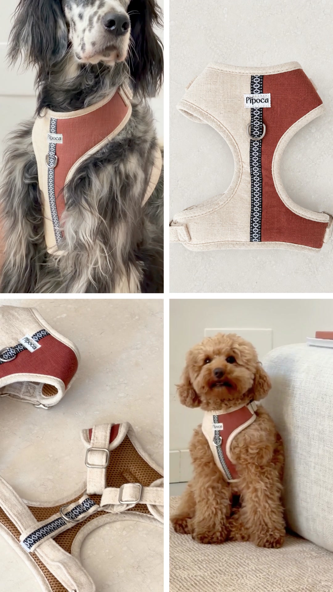Pipoca Dogwear