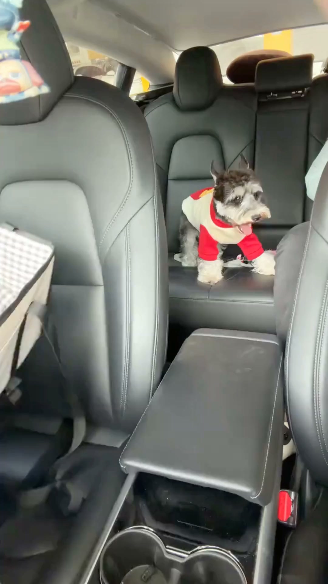 Curl Up And Enjoy The Ride