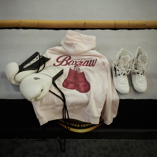 New In: Established Collection