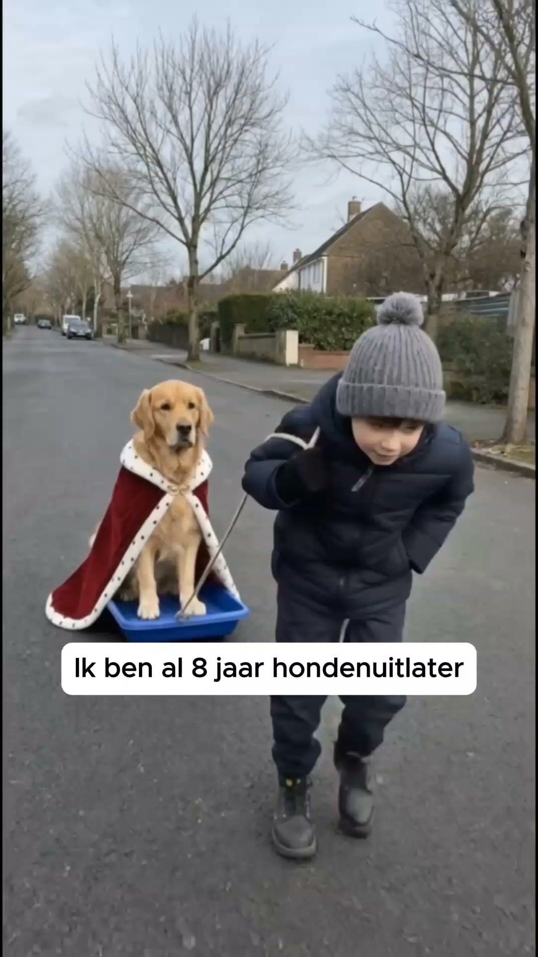 Het No-Pull Tuigje Dat Je Hond Omdraait