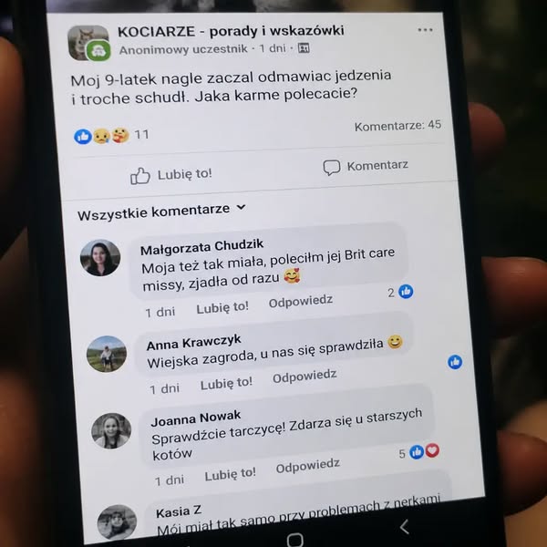 Przeczytaj jeśli masz kota