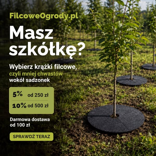 Sprawdź teraz