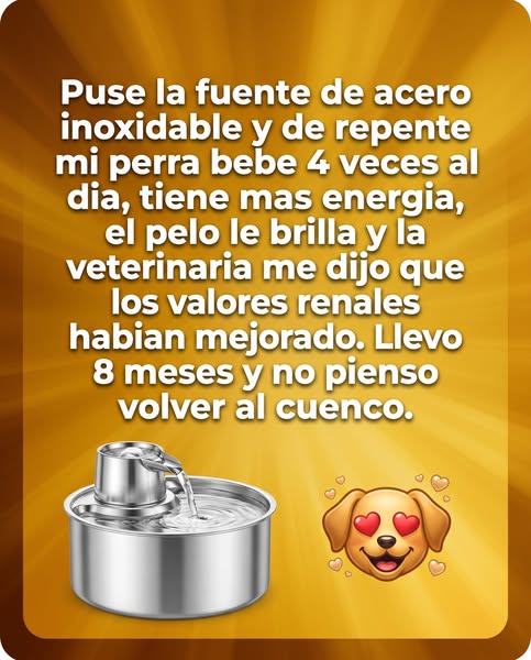 Por favor DEJA de comprar fuentes para perros hasta que leas esto